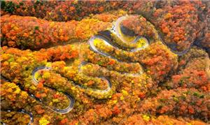Công viên quốc gia Nikko vào mùa thu